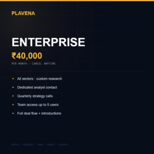 Plavena Enterprise — Custom Intelligence